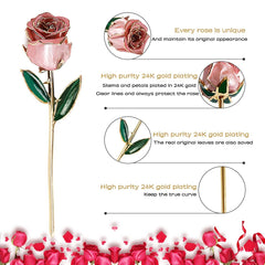 Birthday Gifts 24K Gold Rose, Gold Plated Rose Dipped Rose Everlasting Long Stem Real Rose, Rose Flower Gifts for Valentine'S Day/Christmas/Graduation/Best for Her,Mom,Wife,Women